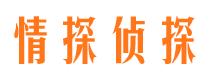 景谷外遇调查取证